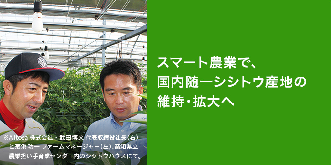 スマート農業で、国内随一シシトウ産地の維持・拡大へ　2020年11月、四国電力株式会社（四国電力）と農林中央金庫（農林中金）が、高知県南国市に農業法人Aitosa（アイトサ）株式会社を設立した。電力会社が地元農業に参入する狙いとは何か。現地からレポートする。　Aitosa 株式会社・武田 博文 代表取締役社長（右）と菊池 功一 ファームマネージャー（左）、高知県立農業担い手育成センター内のシシトウハウスにて。