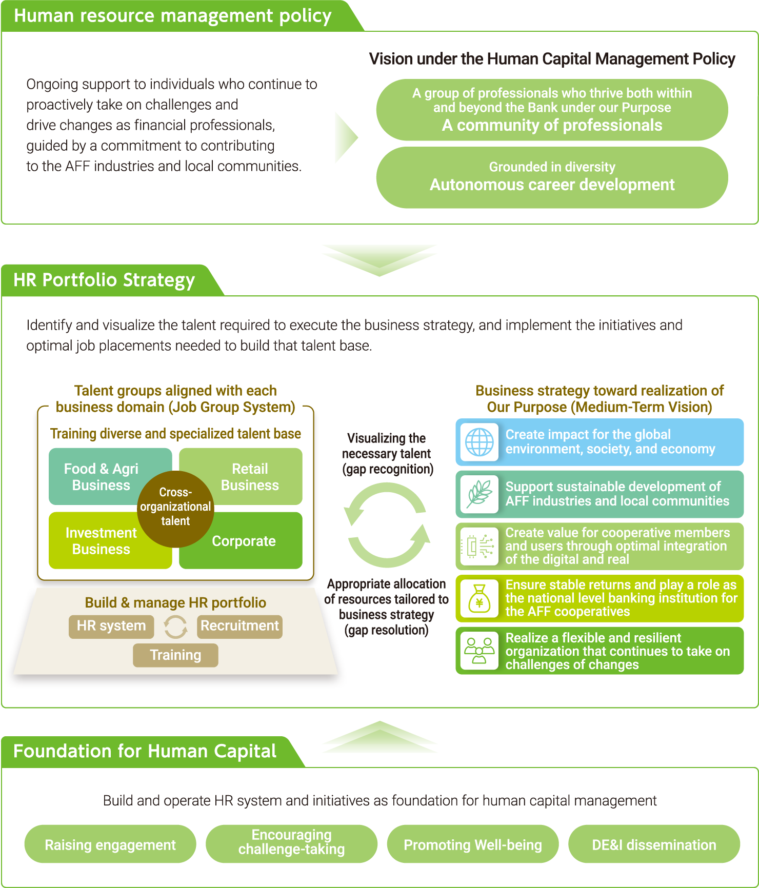 A diagram illustrating the talent management policy, talent portfolio strategy, talent portfolio construction and operation, and the infrastructure supporting human capital within the context of human capital management.