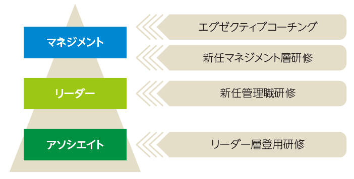 階層別(アソシエイト~マネジメント)の研修内容を示す階層図。