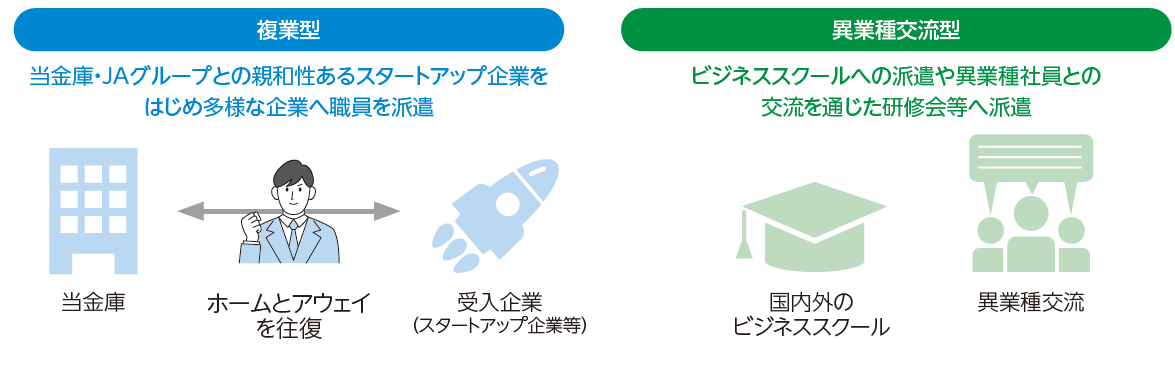 越境研修にはスタートアップ企業等への派遣を通じた複業型とビジネススクール等への派遣を通じた異業種交流型の2種類があることを説明した図。