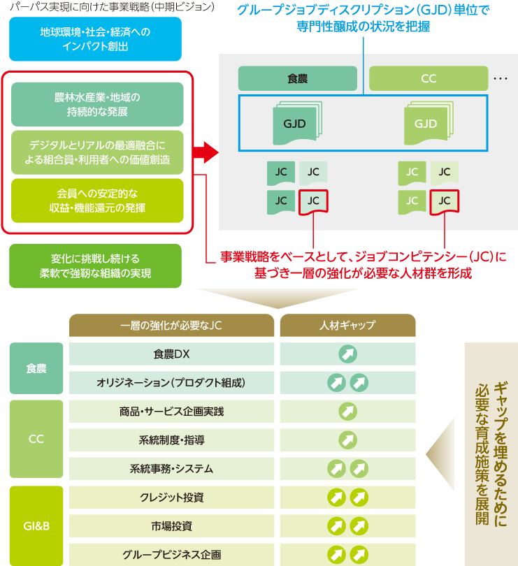 人材群形成に向けたイメージとして、事業戦略、中期ビジョン、グループジョブディスクリプション(GJD)、ジョブコンピテンシー(JC)および人材キャップへの対応を示した図